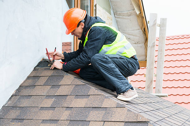 Best Roof Gutter Cleaning  in Stuarts Draft, VA