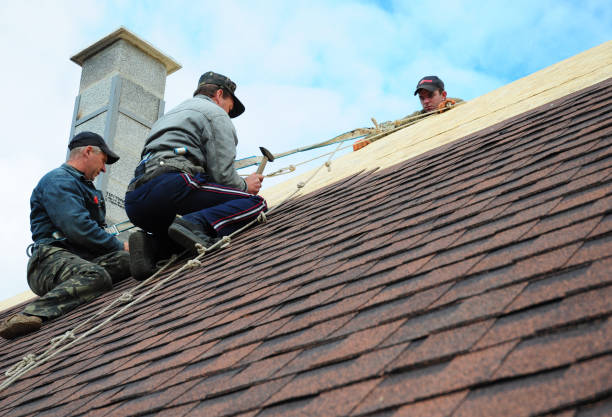 Best Gutter Installation and Roofing  in Stuarts Draft, VA